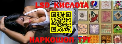 шишки Лесосибирск