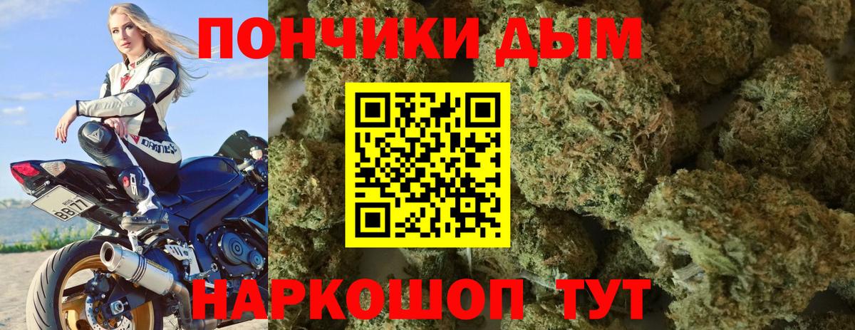 Выборг  Бошки марихуана Bruce Banner  МАРИХУАНА семена  Бошки Шишки конопля  Бошки Шишки сатива  Вход с VPN 
